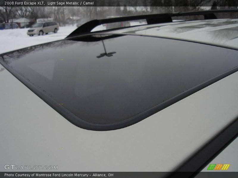 Light Sage Metallic / Camel 2008 Ford Escape XLT