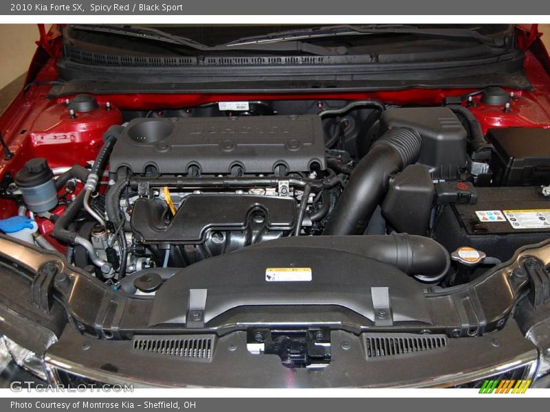 Spicy Red / Black Sport 2010 Kia Forte SX