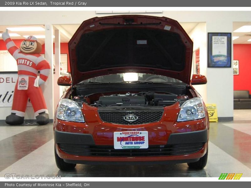 Tropical Red / Gray 2009 Kia Rio LX Sedan