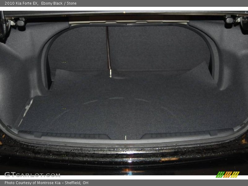 Ebony Black / Stone 2010 Kia Forte EX