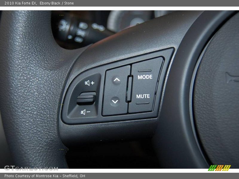 Ebony Black / Stone 2010 Kia Forte EX