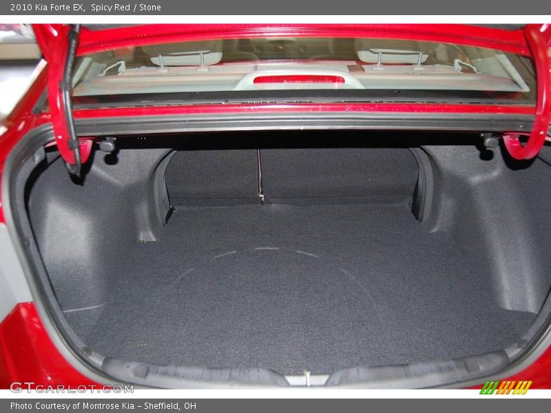 Spicy Red / Stone 2010 Kia Forte EX