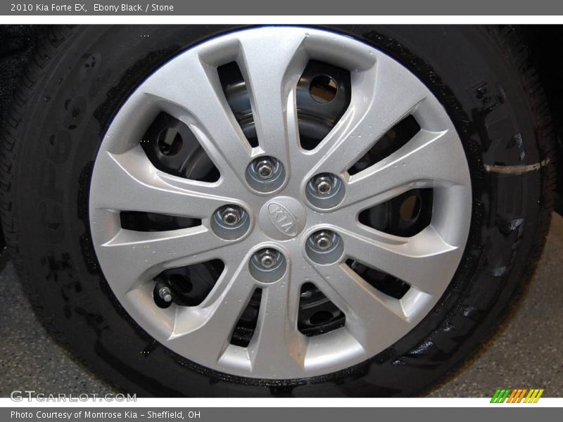 Ebony Black / Stone 2010 Kia Forte EX