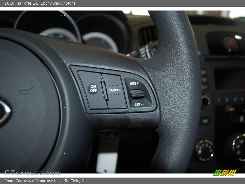 Ebony Black / Stone 2010 Kia Forte EX