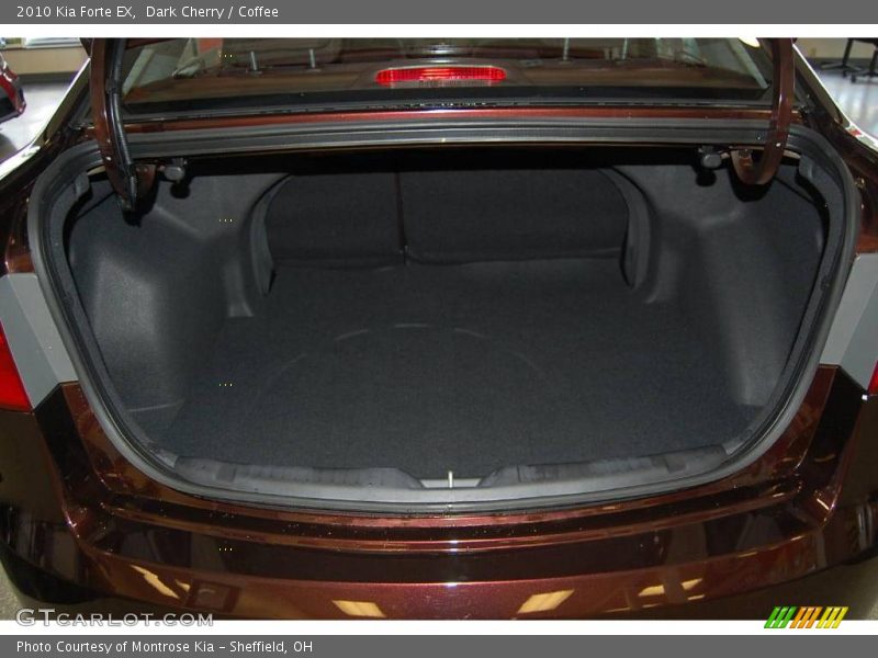 Dark Cherry / Coffee 2010 Kia Forte EX