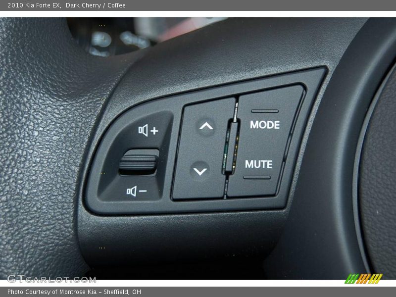 Dark Cherry / Coffee 2010 Kia Forte EX