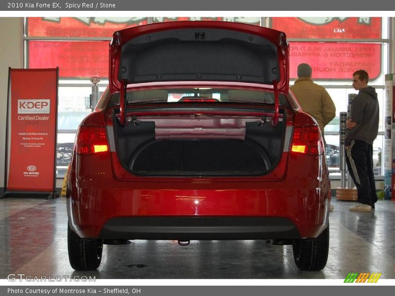 Spicy Red / Stone 2010 Kia Forte EX