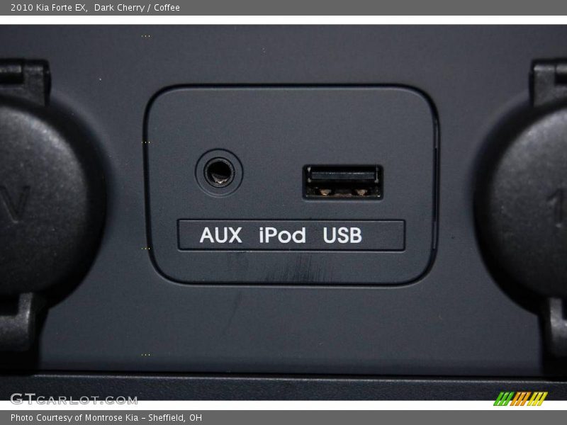 Dark Cherry / Coffee 2010 Kia Forte EX