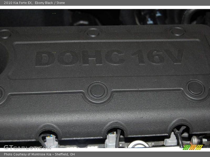 Ebony Black / Stone 2010 Kia Forte EX