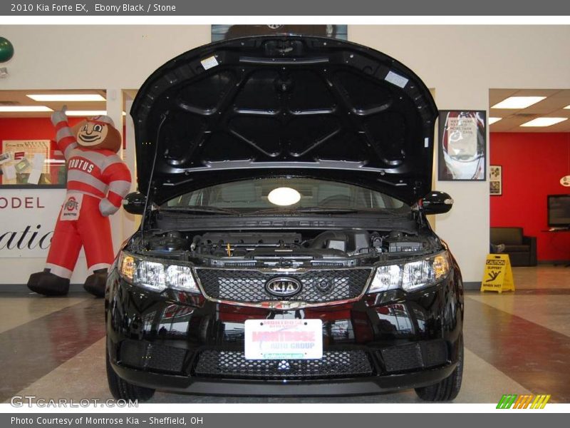 Ebony Black / Stone 2010 Kia Forte EX