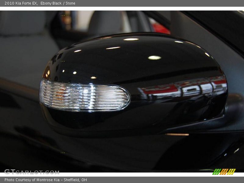 Ebony Black / Stone 2010 Kia Forte EX