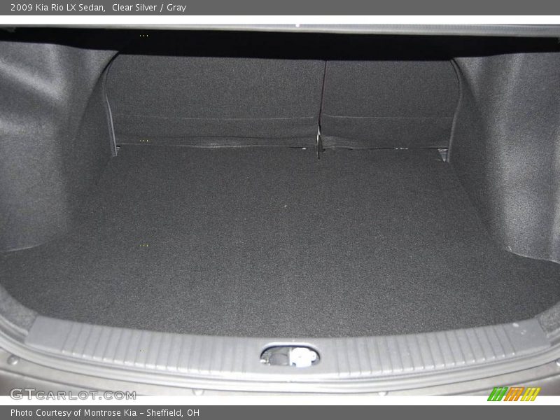 Clear Silver / Gray 2009 Kia Rio LX Sedan