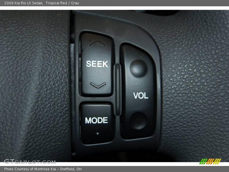 Tropical Red / Gray 2009 Kia Rio LX Sedan