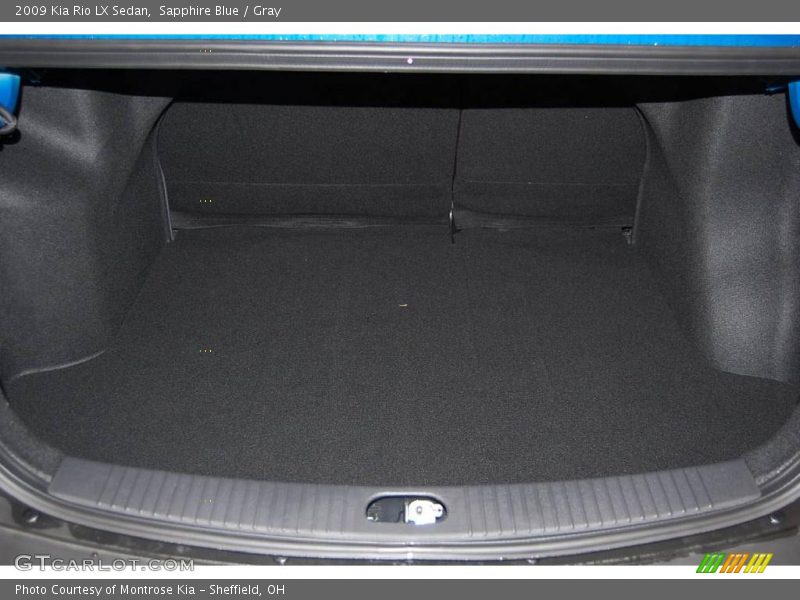 Sapphire Blue / Gray 2009 Kia Rio LX Sedan