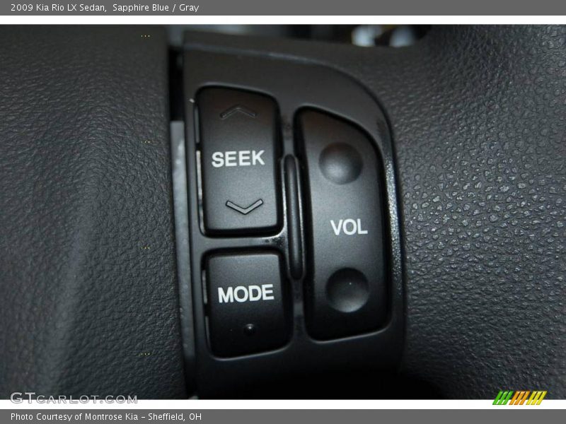 Sapphire Blue / Gray 2009 Kia Rio LX Sedan