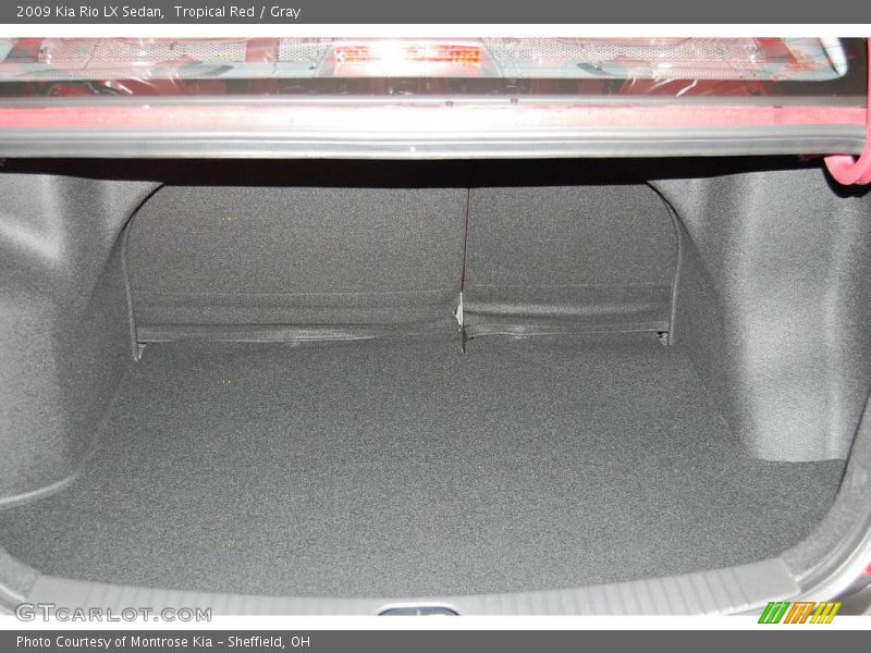 Tropical Red / Gray 2009 Kia Rio LX Sedan