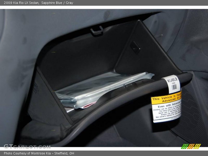 Sapphire Blue / Gray 2009 Kia Rio LX Sedan