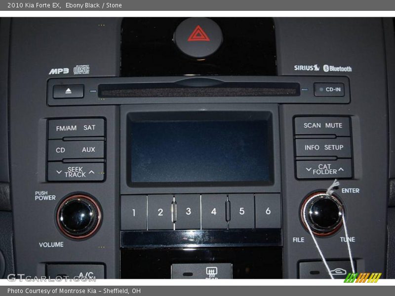 Ebony Black / Stone 2010 Kia Forte EX