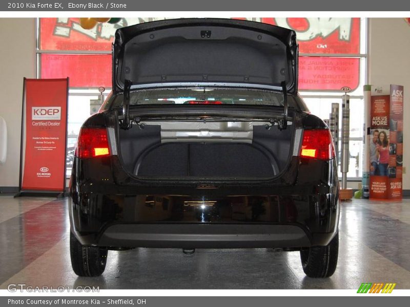 Ebony Black / Stone 2010 Kia Forte EX
