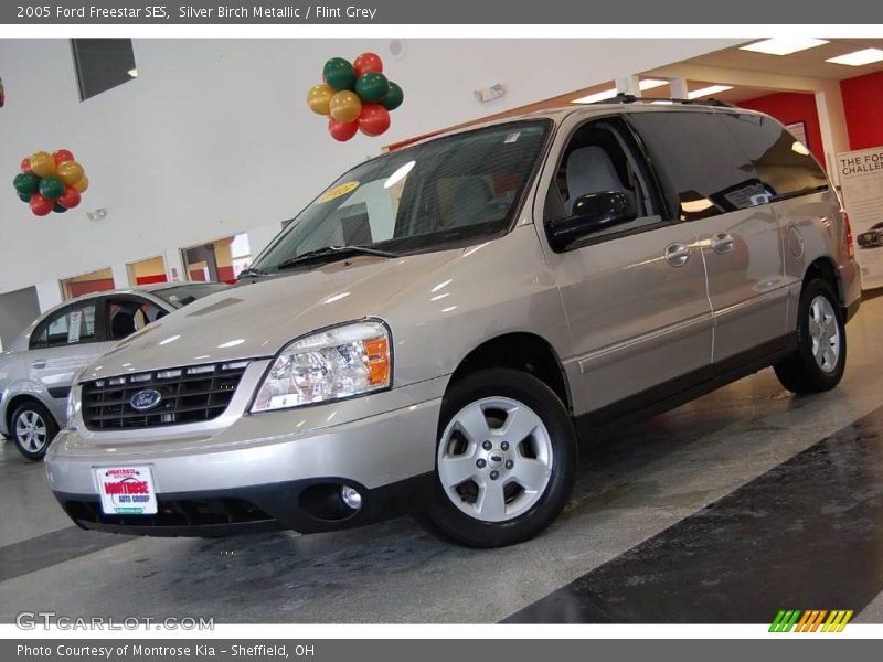 Silver Birch Metallic / Flint Grey 2005 Ford Freestar SES