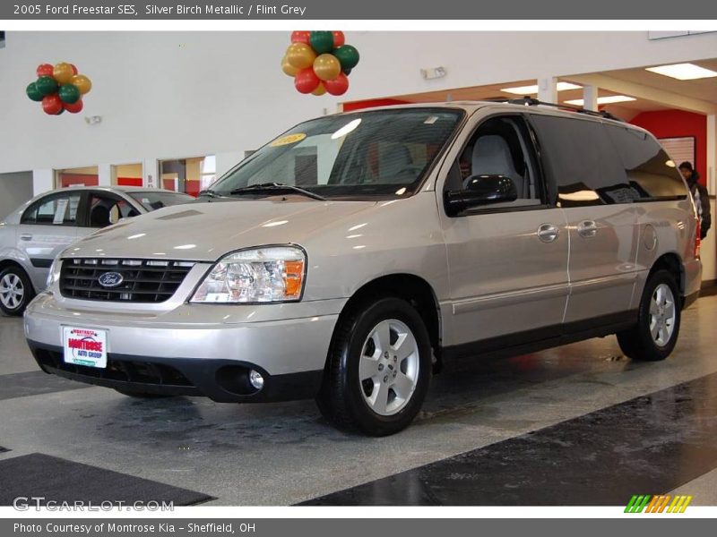 Silver Birch Metallic / Flint Grey 2005 Ford Freestar SES