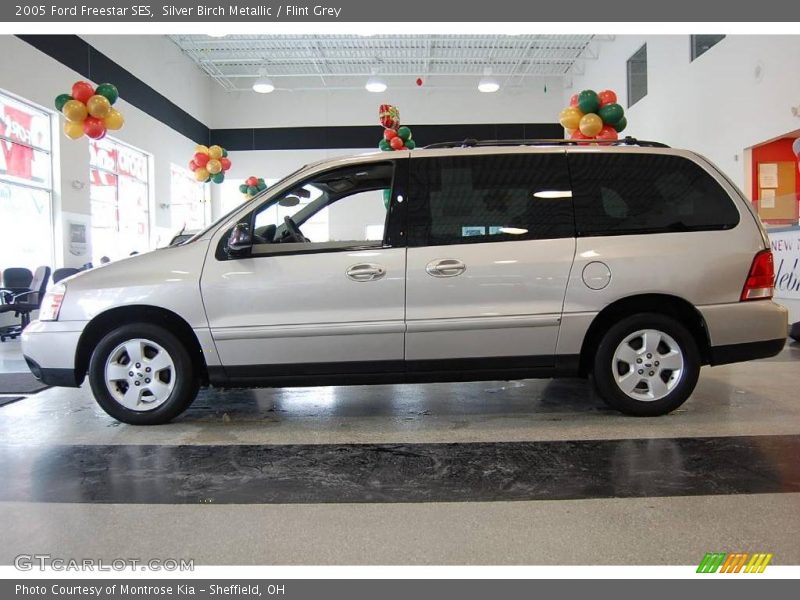 Silver Birch Metallic / Flint Grey 2005 Ford Freestar SES