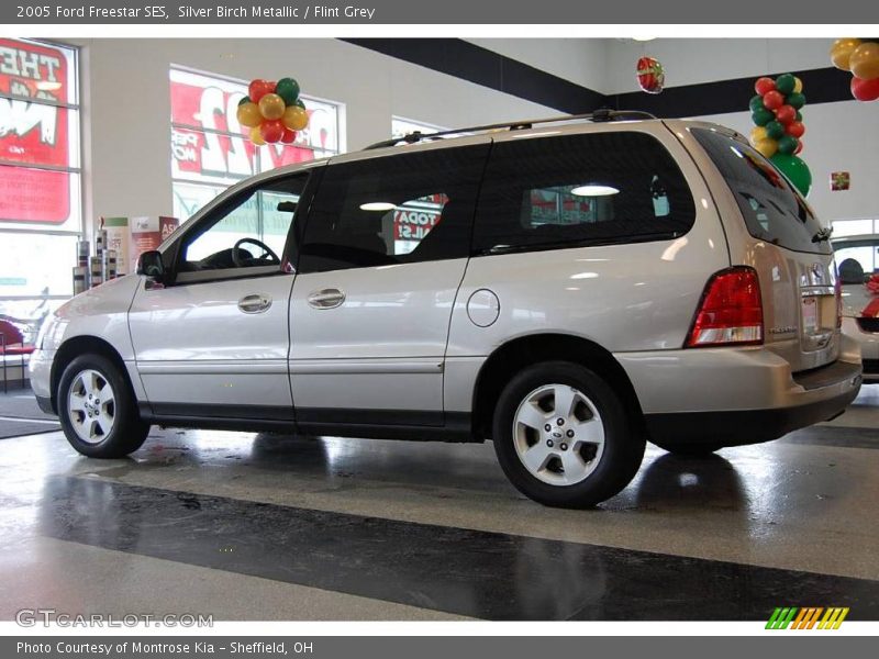 Silver Birch Metallic / Flint Grey 2005 Ford Freestar SES