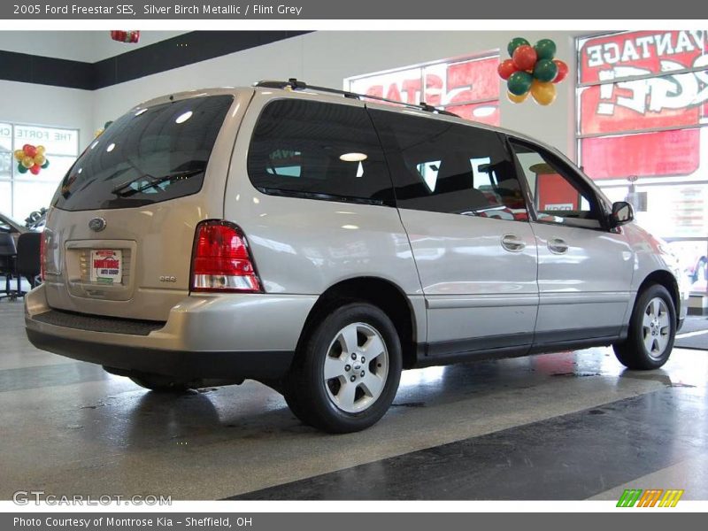 Silver Birch Metallic / Flint Grey 2005 Ford Freestar SES