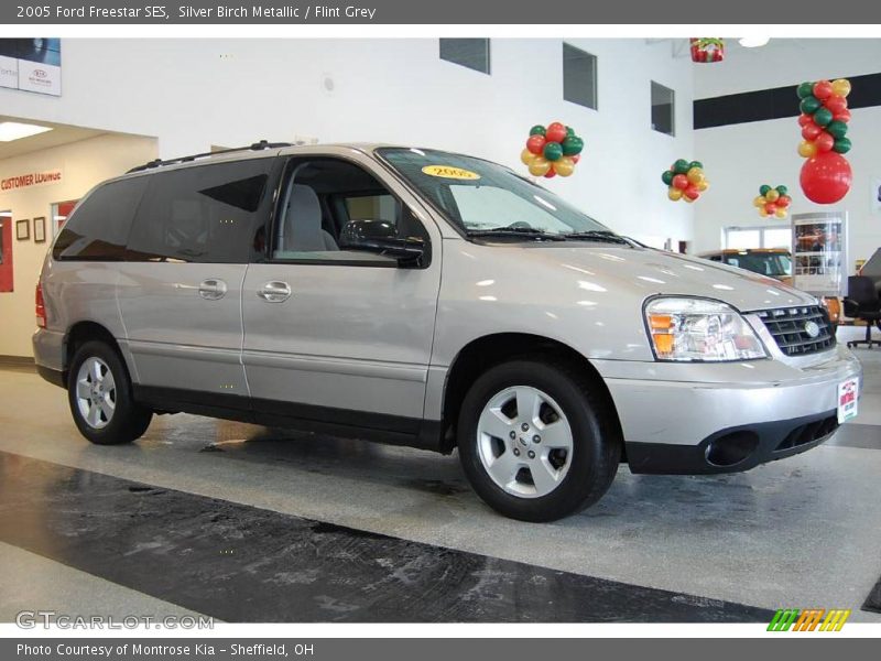 Silver Birch Metallic / Flint Grey 2005 Ford Freestar SES