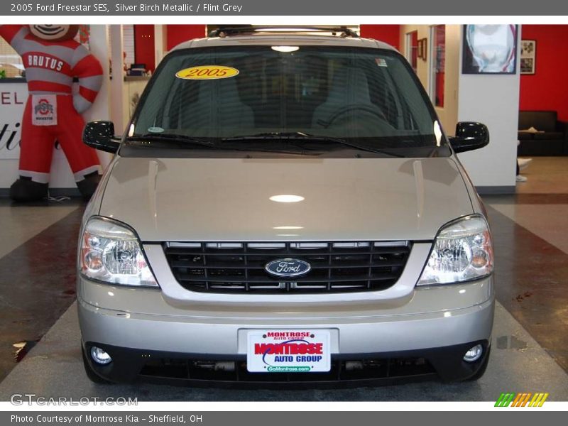Silver Birch Metallic / Flint Grey 2005 Ford Freestar SES