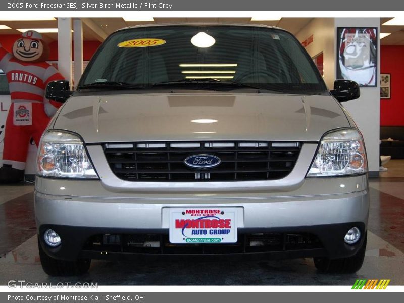 Silver Birch Metallic / Flint Grey 2005 Ford Freestar SES