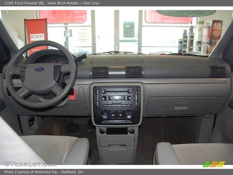 Silver Birch Metallic / Flint Grey 2005 Ford Freestar SES