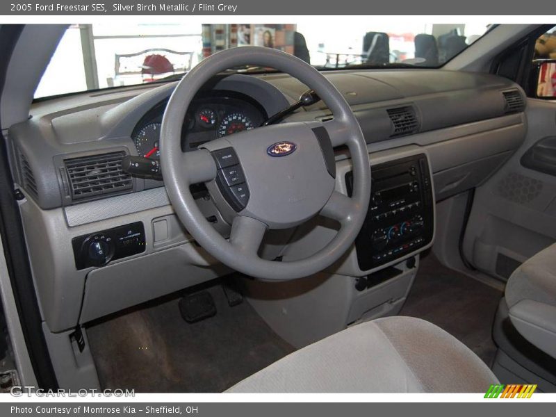 Silver Birch Metallic / Flint Grey 2005 Ford Freestar SES