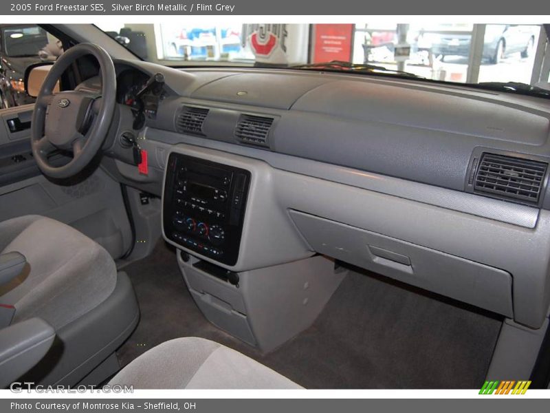 Silver Birch Metallic / Flint Grey 2005 Ford Freestar SES