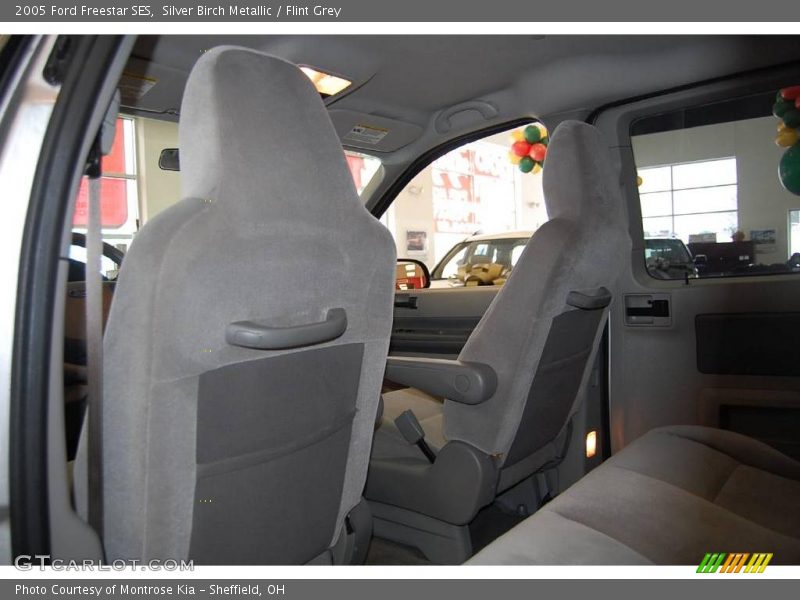 Silver Birch Metallic / Flint Grey 2005 Ford Freestar SES