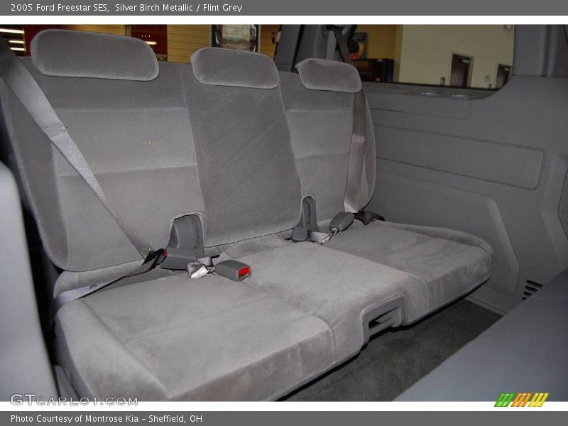 Silver Birch Metallic / Flint Grey 2005 Ford Freestar SES