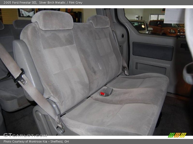 Silver Birch Metallic / Flint Grey 2005 Ford Freestar SES