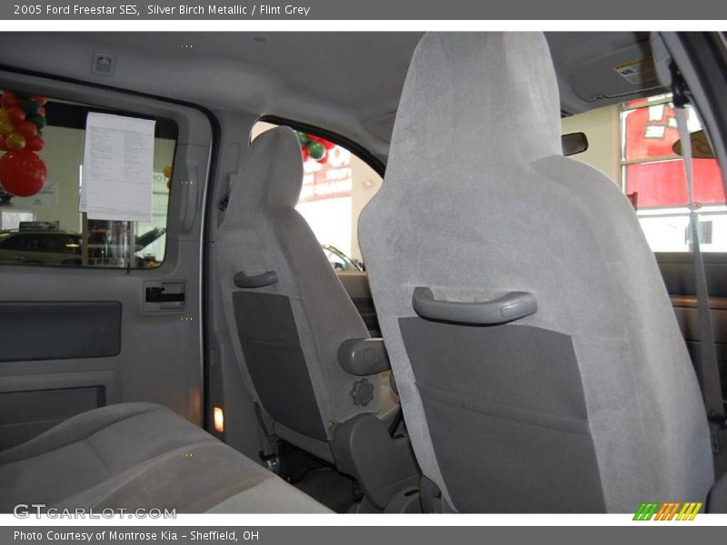 Silver Birch Metallic / Flint Grey 2005 Ford Freestar SES