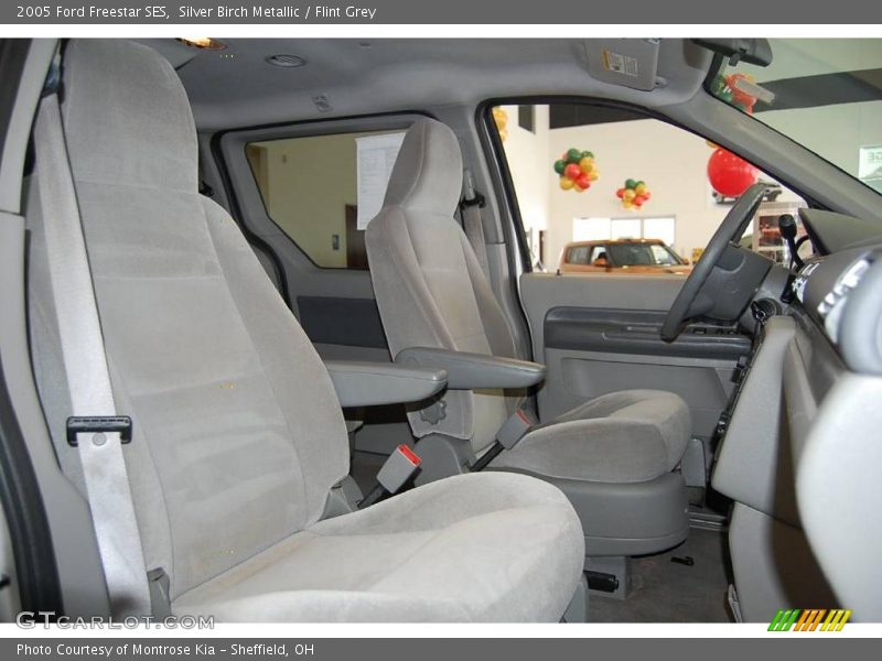 Silver Birch Metallic / Flint Grey 2005 Ford Freestar SES