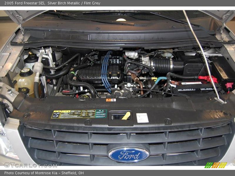 Silver Birch Metallic / Flint Grey 2005 Ford Freestar SES