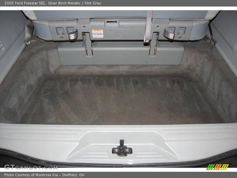 Silver Birch Metallic / Flint Grey 2005 Ford Freestar SES