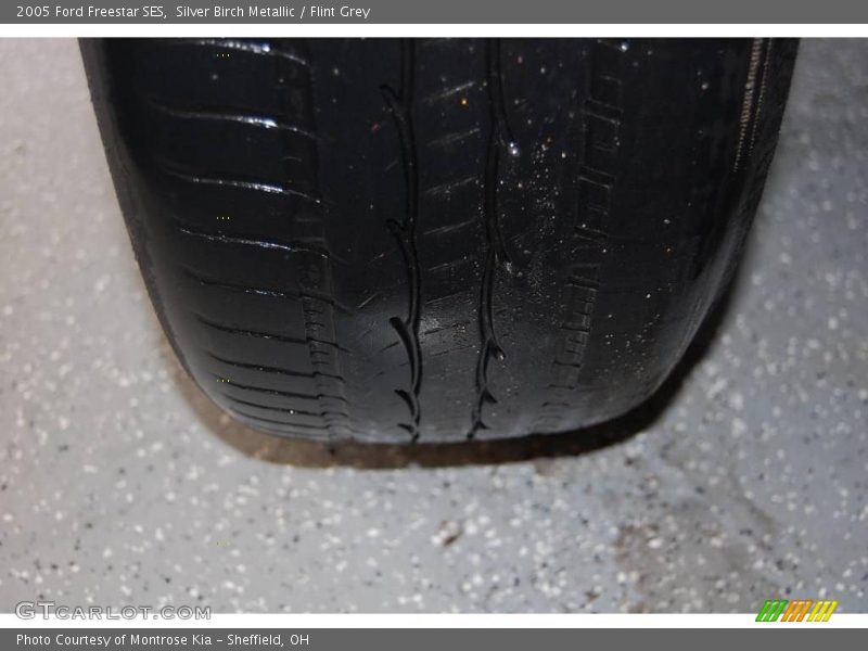 Silver Birch Metallic / Flint Grey 2005 Ford Freestar SES