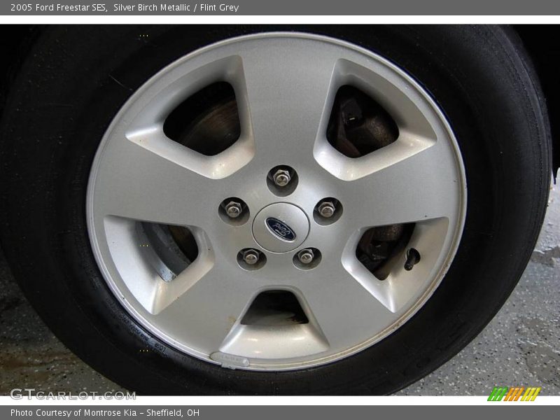Silver Birch Metallic / Flint Grey 2005 Ford Freestar SES