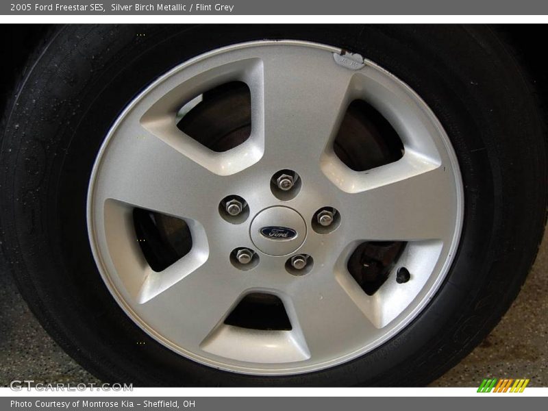 Silver Birch Metallic / Flint Grey 2005 Ford Freestar SES