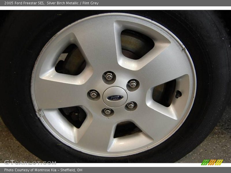 Silver Birch Metallic / Flint Grey 2005 Ford Freestar SES