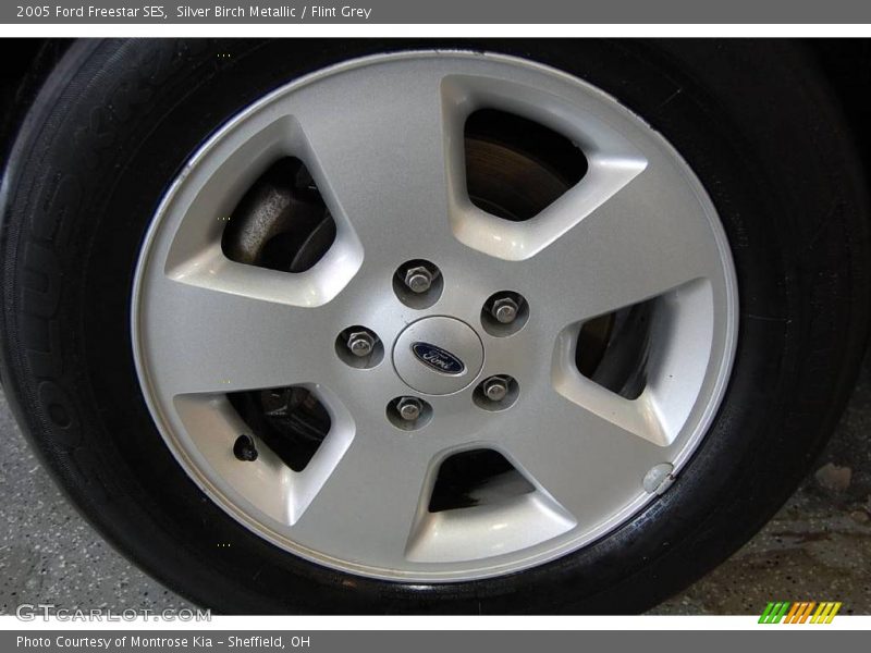Silver Birch Metallic / Flint Grey 2005 Ford Freestar SES