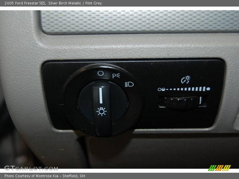 Silver Birch Metallic / Flint Grey 2005 Ford Freestar SES
