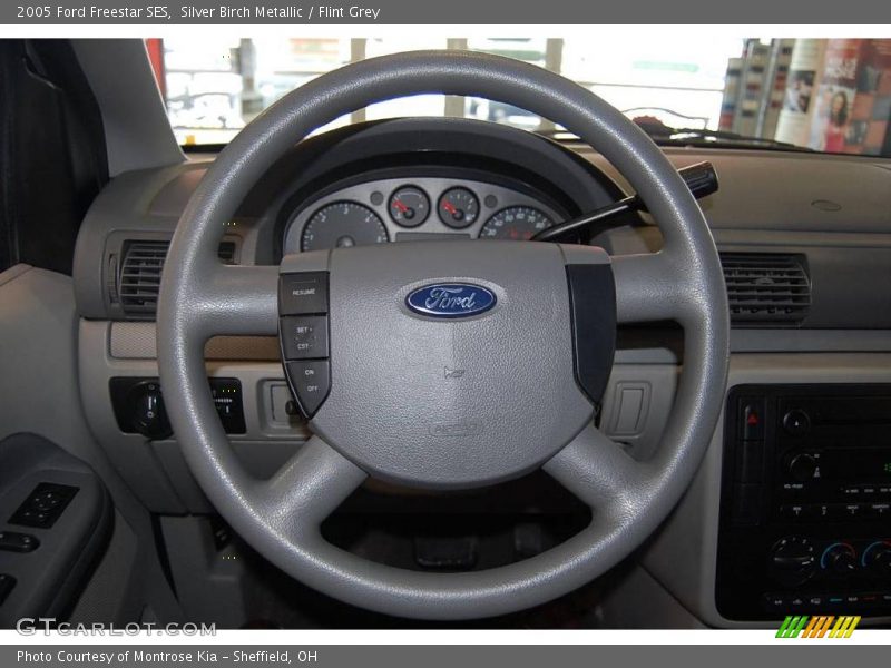 Silver Birch Metallic / Flint Grey 2005 Ford Freestar SES