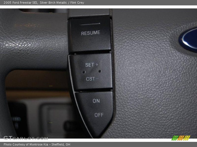 Silver Birch Metallic / Flint Grey 2005 Ford Freestar SES