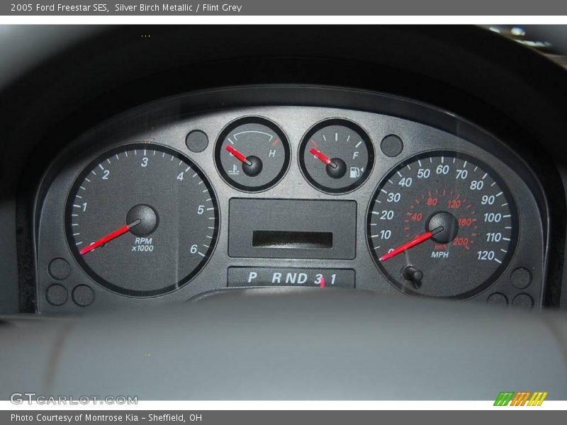 Silver Birch Metallic / Flint Grey 2005 Ford Freestar SES